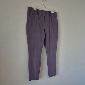 Women's Straight Leg Pants - Purple